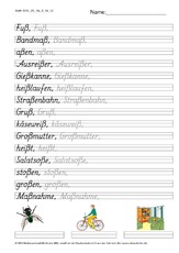 DSS_2S_Bu_ß_Nr_02.pdf